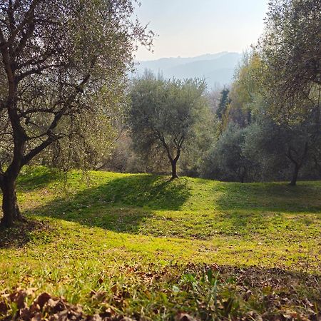 باسّانو ديل غرابّا B&B Ca'Baracca Bellavista المظهر الخارجي الصورة