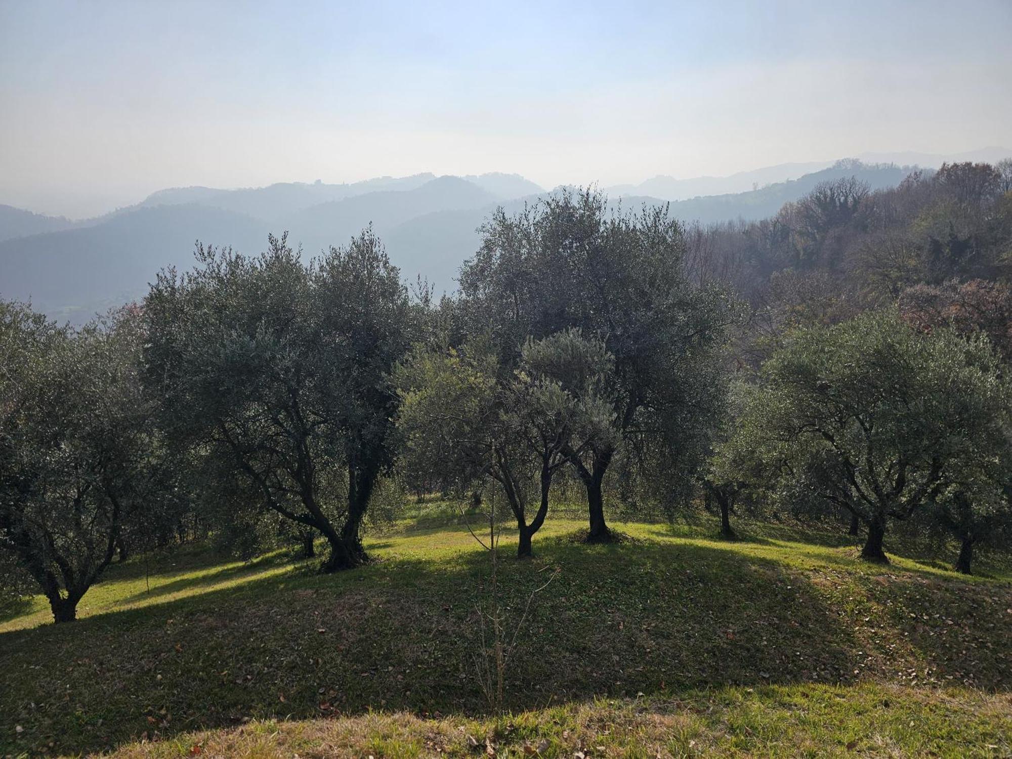 باسّانو ديل غرابّا B&B Ca'Baracca Bellavista المظهر الخارجي الصورة